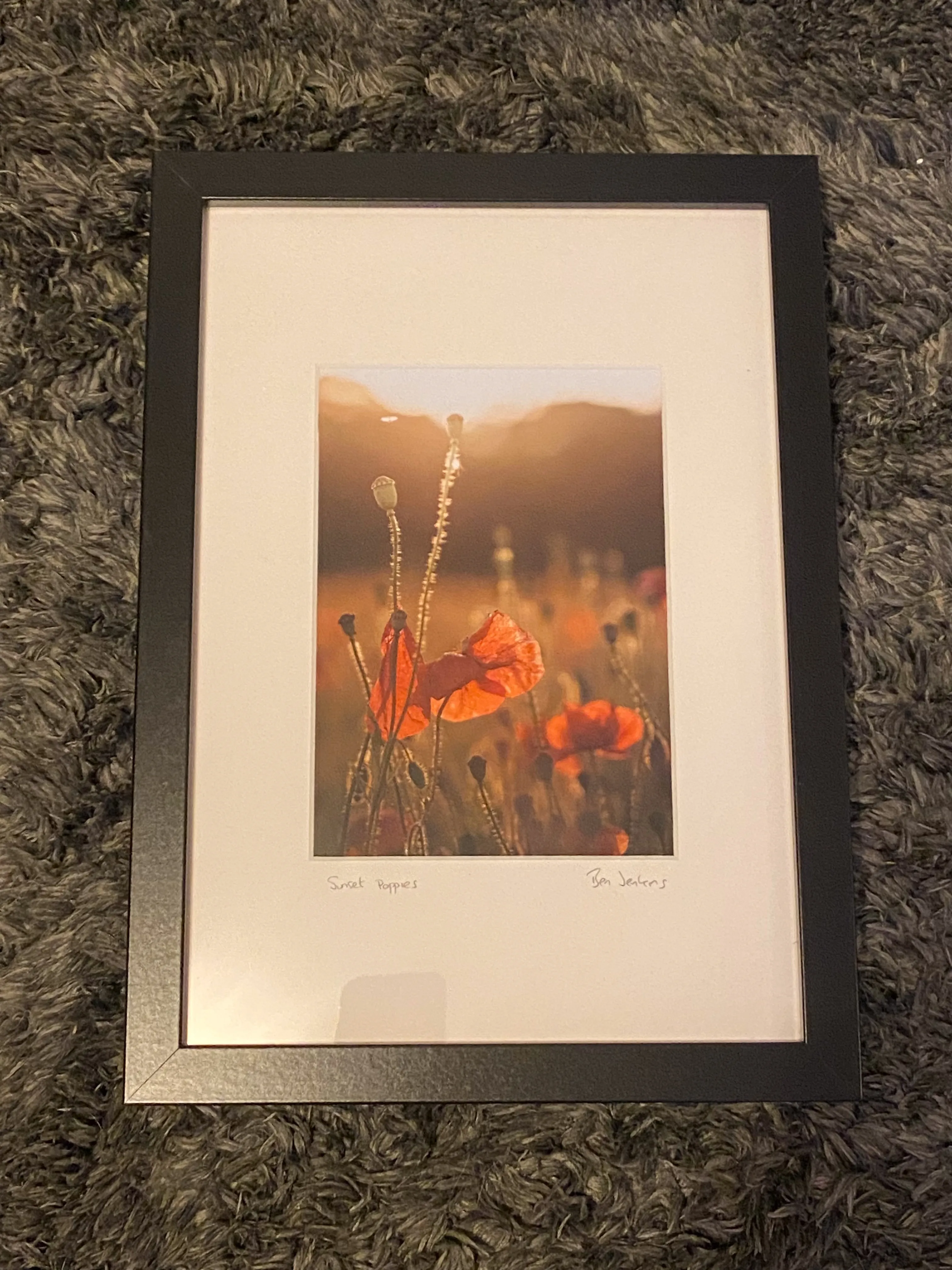 Portrait-orientation framed print of poppies in warm evening light